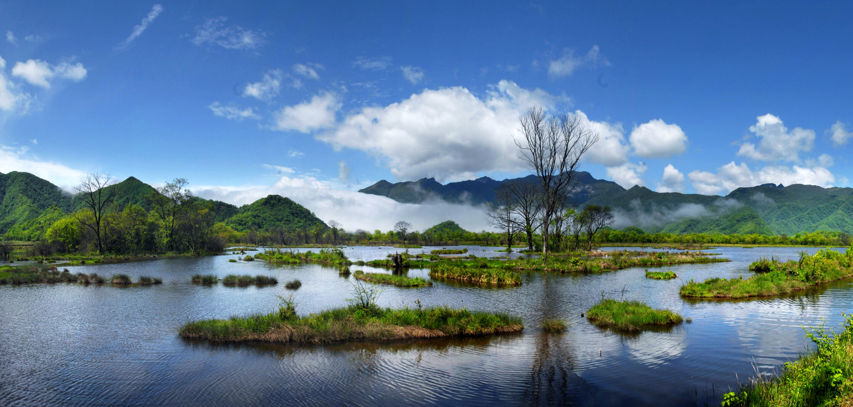Rising Methane Emissions from Tropical Wetlands: The Next Climate Ticking Bomb